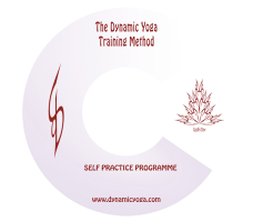 Dynamic Yoga TTM - The Bandhas