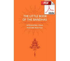 The Little Book Of The Bandhas by Godfrey Devereux - PDF download